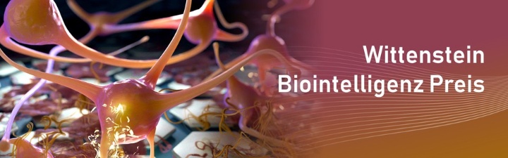 https://www.ipa.fraunhofer.de/de/ueber_uns/institutsprofil/IPA-Innovationspreise/wittenstein-biointelligenz-preis.html